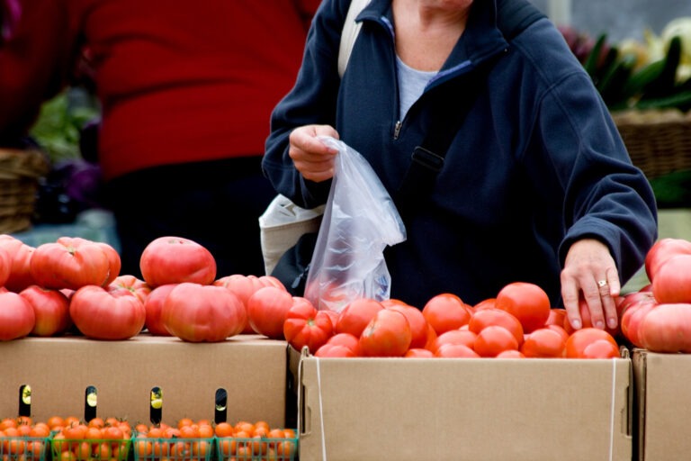 Maramure Pia A Agroalimentar Izvoarele Modernizat Valoarea