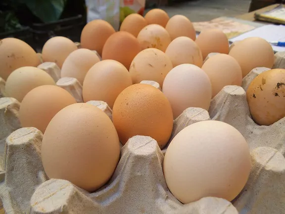 Ouă produse la o fermă din Vaslui, retrase de la raft din cauza contaminării cu Salmonella