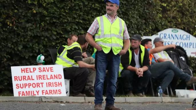 Numeroase fabrici de procesare a cărnii de vită din Irlanda, închise din cauza protestelor declanșate de fermierii nemulțumiți de prețurile de achiziție; Fermierii irlandezi poartă veste galbene, întocmai ca protestatarii din Paris