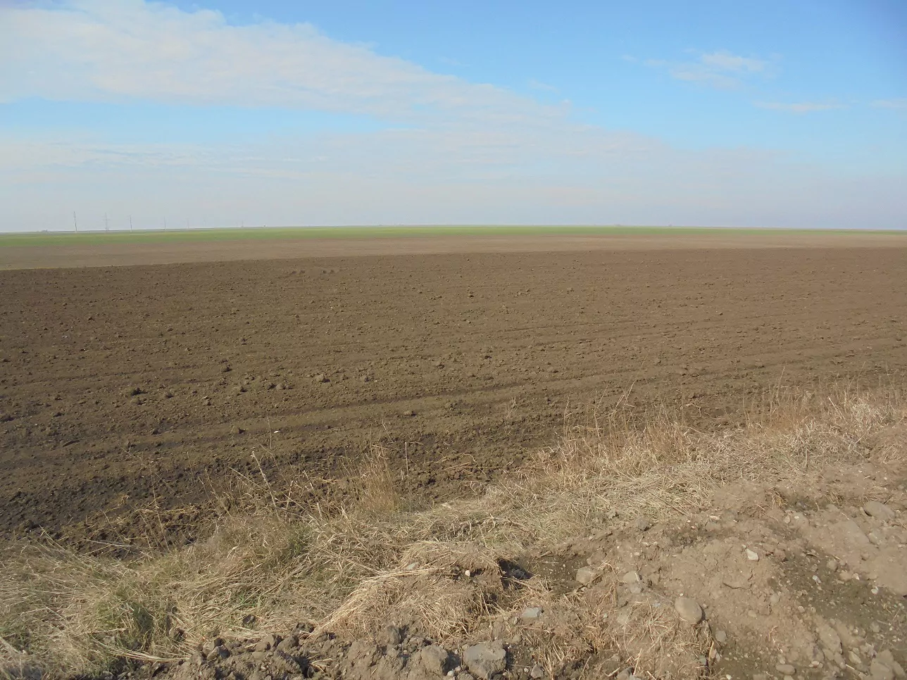 Fermierii din Republica Moldova intenționează să extindă suprafețele cultivate cu floarea soarelui și porumb, mărfuri pe care Ucraina le livra pe piața europeană