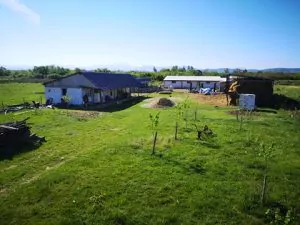 Zbaterile micului fermier: un fost mecanic la CFR Timișoara a înființat o fermă de creștere a animalelor, dar pandemia Covid- 19 i-a dat multe planuri peste cap