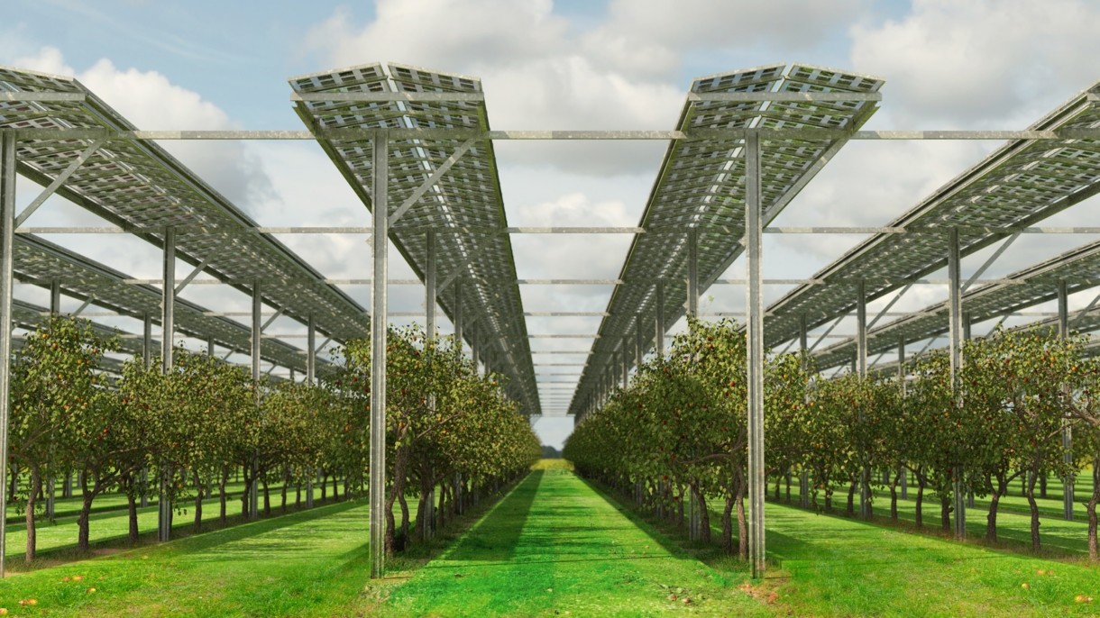 Un sindicat agricol din Franța cere interzicerea parcurilor fotovoltaice pe terenurile agricole și forestiere; o revendicare asemănătoare au formulat și fermierii din vestul României