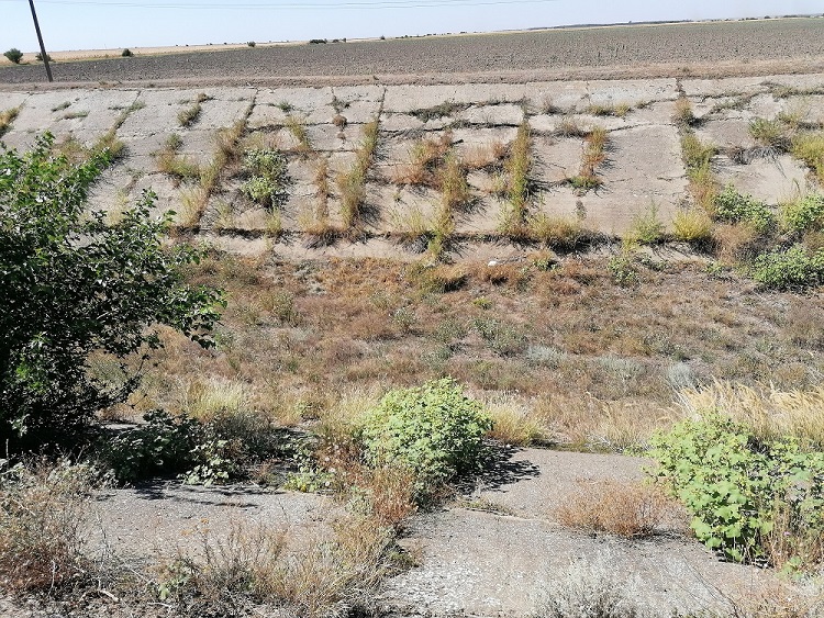 bani europeni, ministerul agriculturii, irigatii