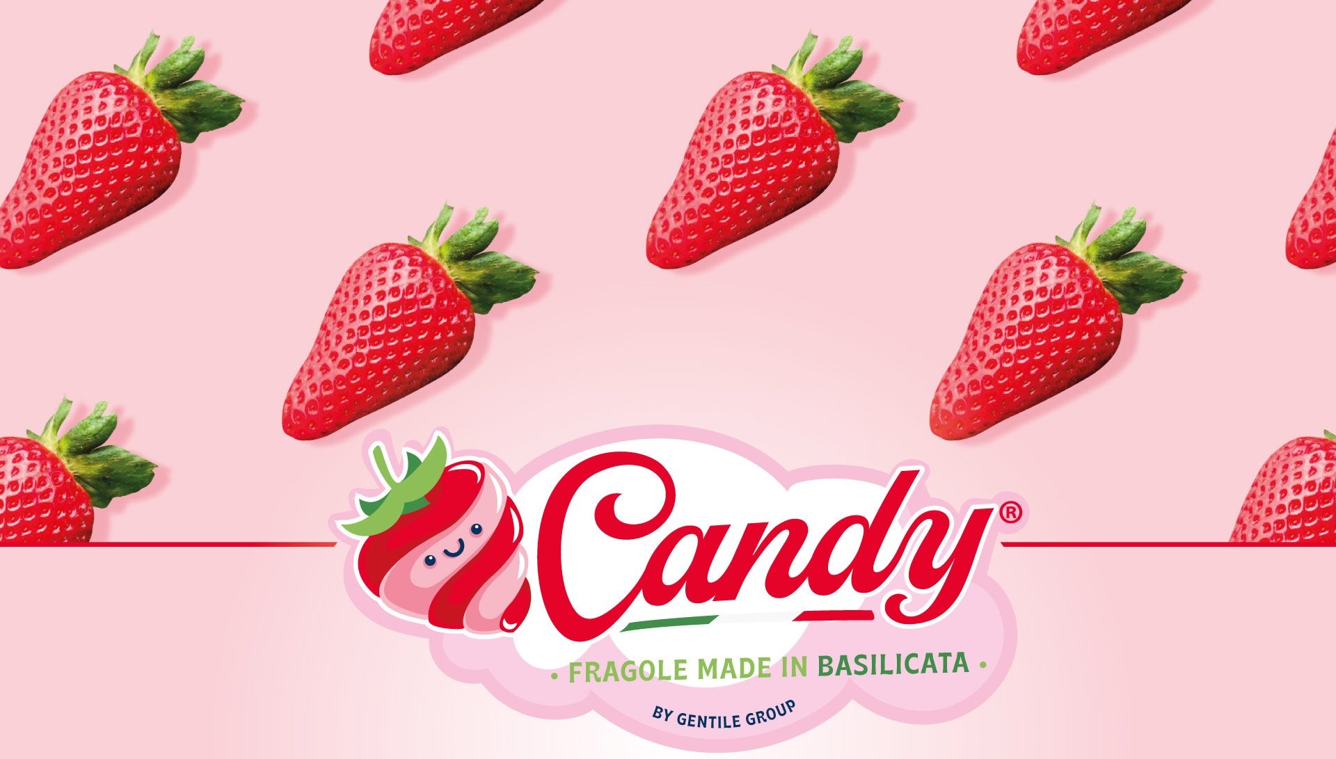 Căpșune de lux: ambalate în cutii care imită pe cele cu bomboane, fructele au adus unui producător italian câștiguri de peste 150.000 de euro pe hectar
