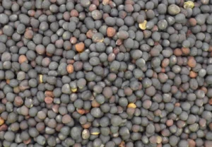 Semințe de rapiță din România, depistate în Germania cu reziduuri de pesticide de aproape zece ori mai mari decât limita maximă admisă