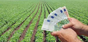 subventii agricole, bani, Uniunea Europeana, fermieri