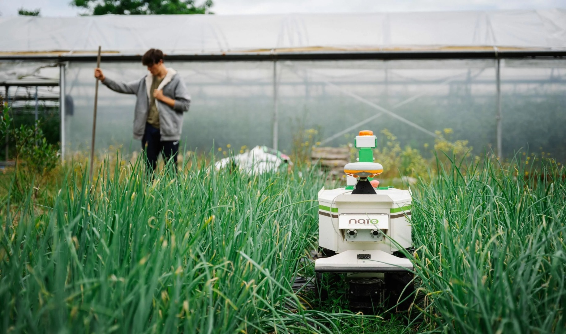 inteligenta artificiala, romania, drone, roboti