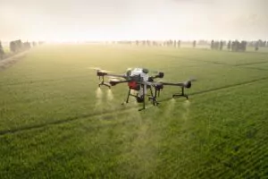 inteligenta artificiala, romania, drone, roboti