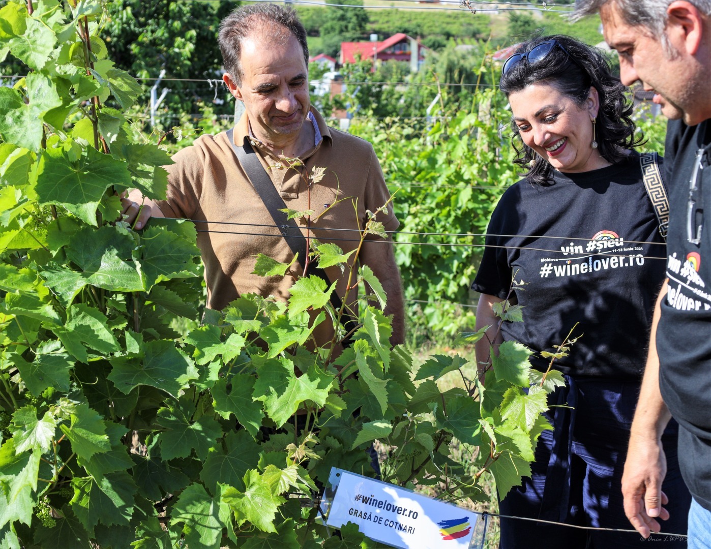 winelover romania, interviu, vinuri, razvan stoenescu