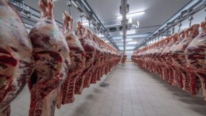 carne, maturare uscata, igiena, Uniunea Europeana