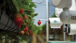 roboti, Inteligenta Artificiala, drone, agricultura