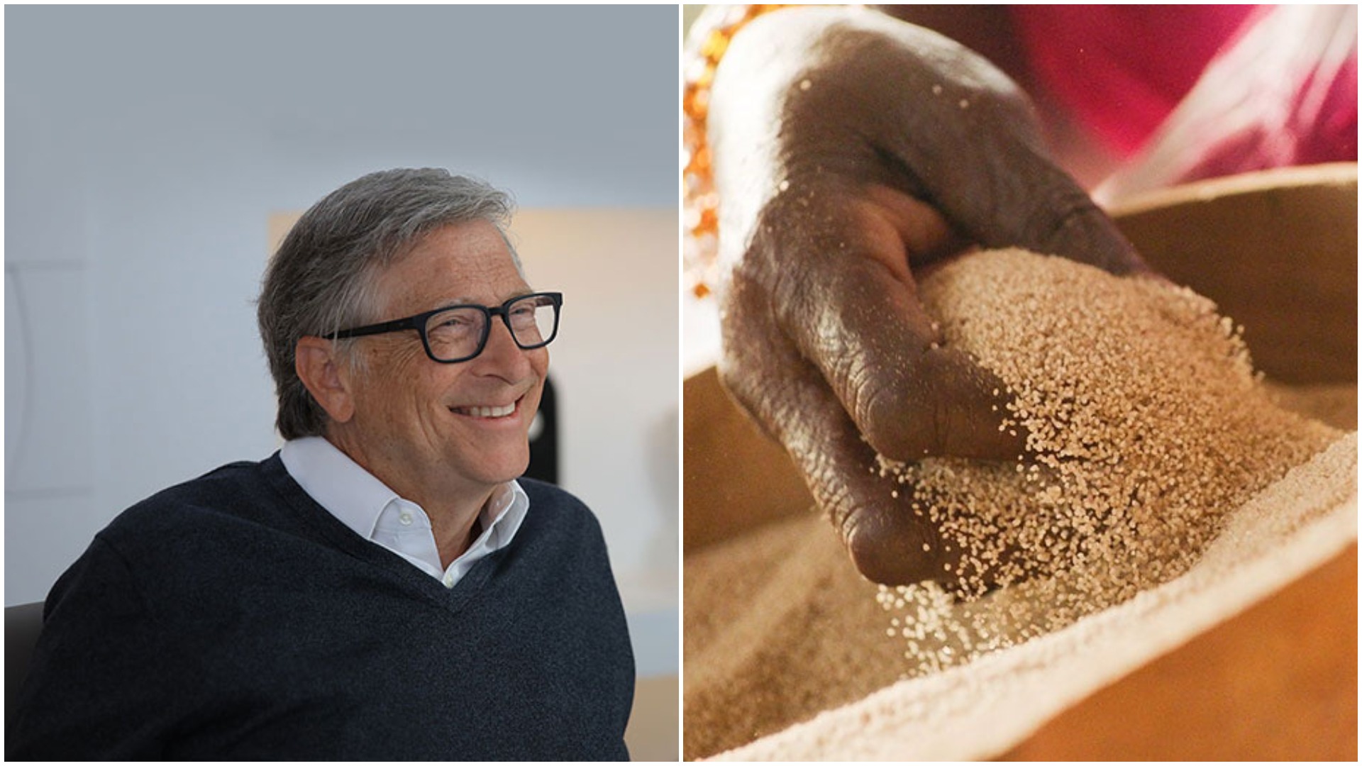 bill gates, fonio, cereale, schimbari climatice