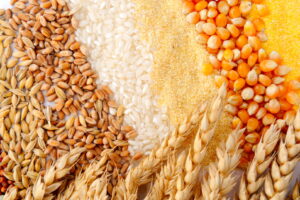 cereale, seceta, canicula, productie