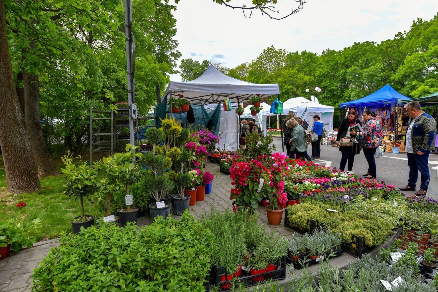 zilele horticulturii bucurestene, horticultura, bucuresti, usamv