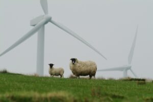 studiu, turbine eoliene, agricultura, energie verde