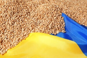 cereale, ucraina, preturi minime, proteste fermieri