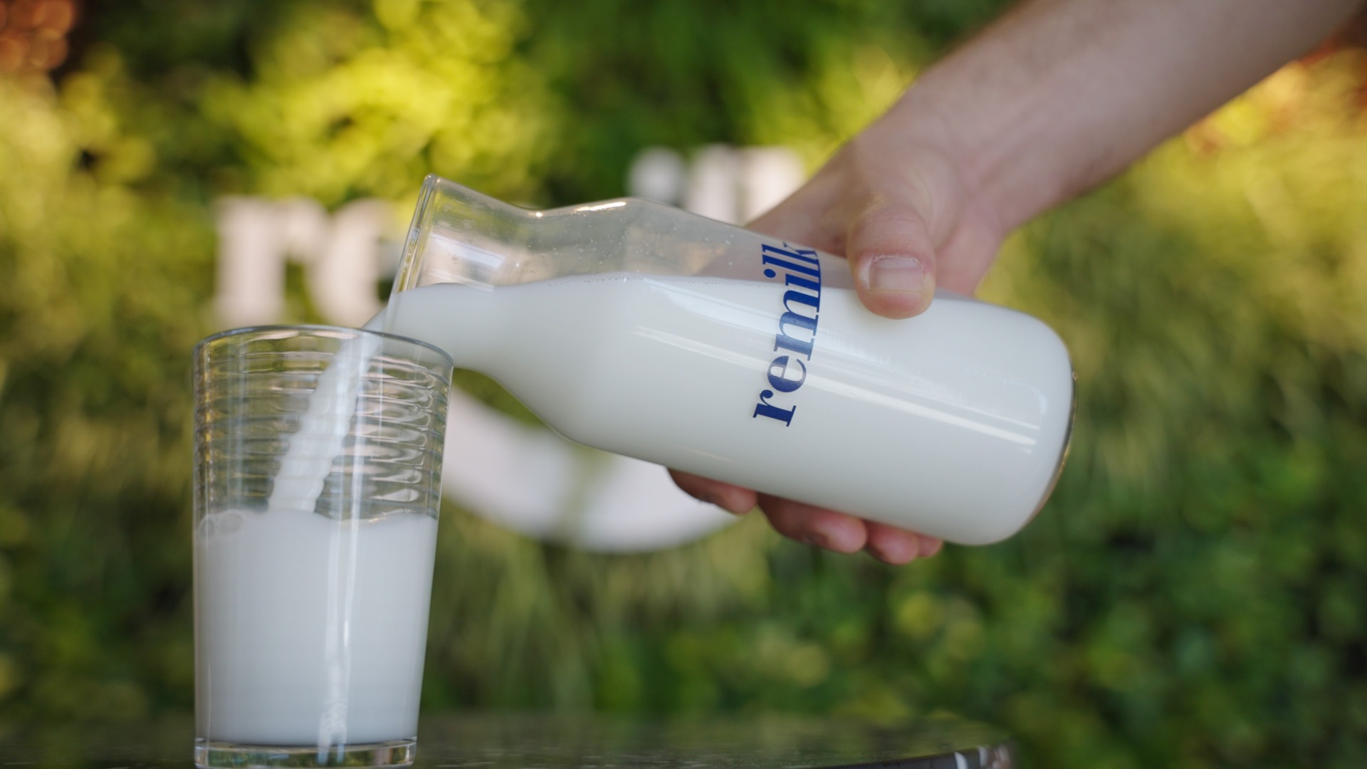 lapte, vaci, lapte din plante, biotehnologie