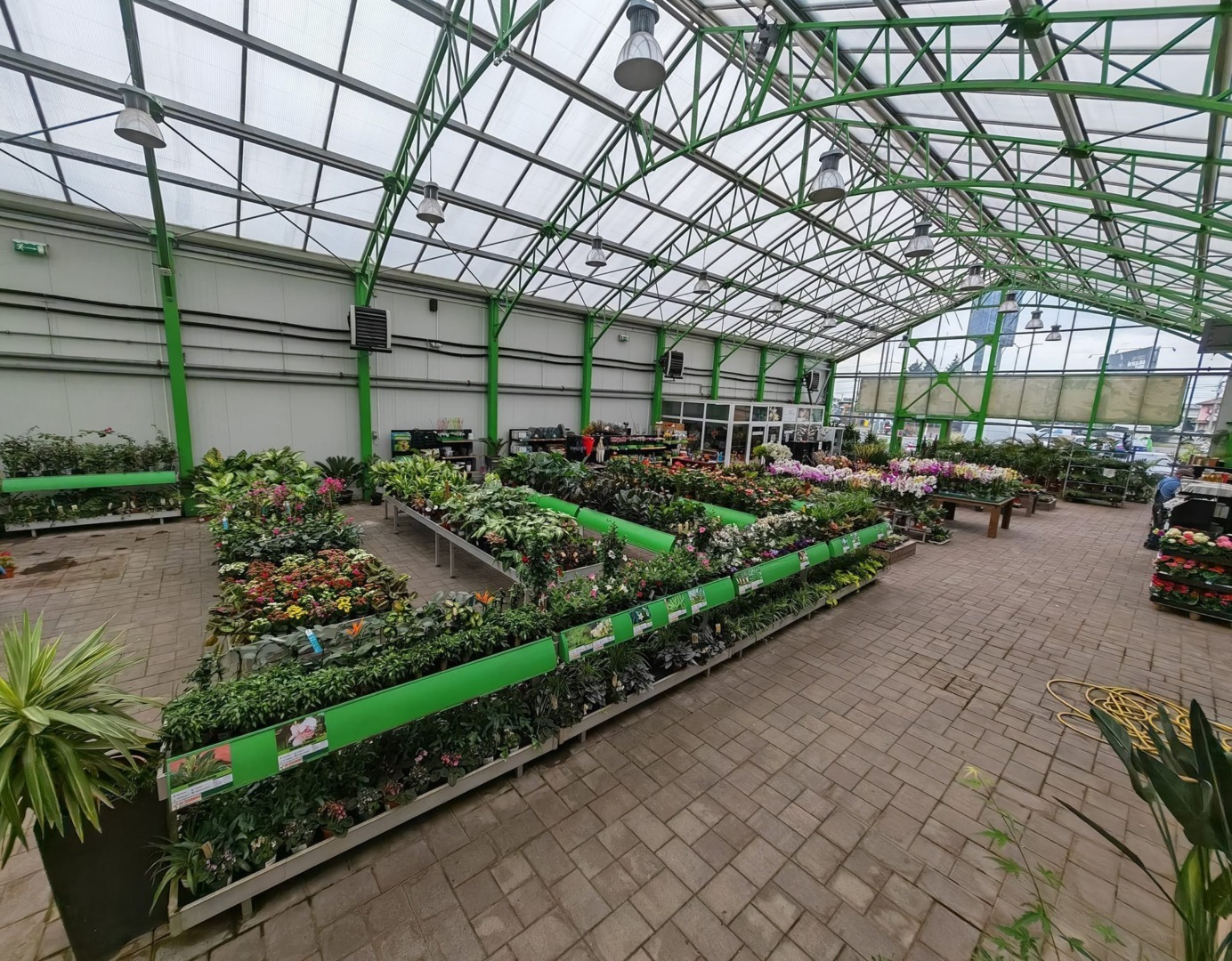 hypermarket, plante, bvb, glissando garden center