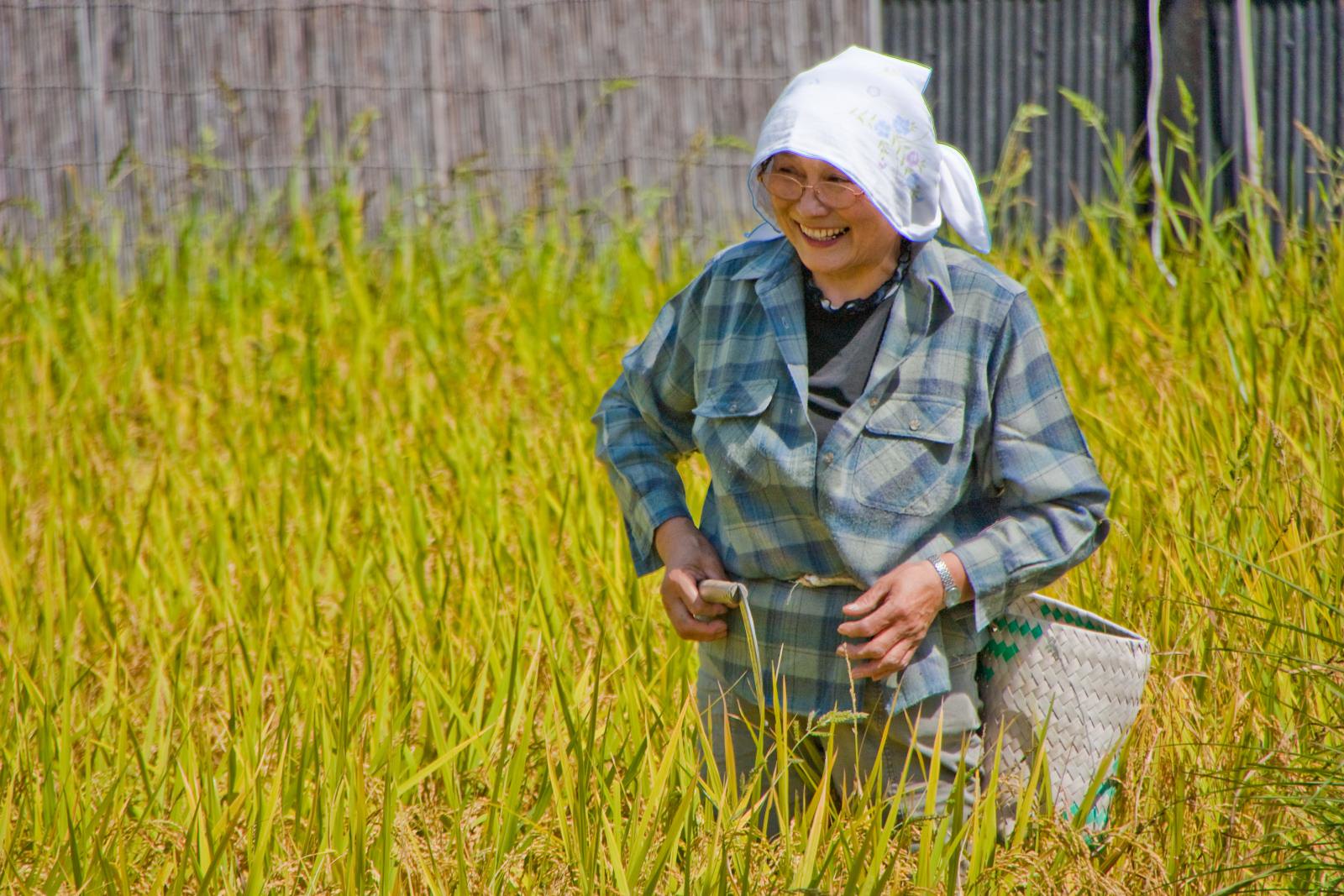 japonia, forta de munca, agricultura, criza