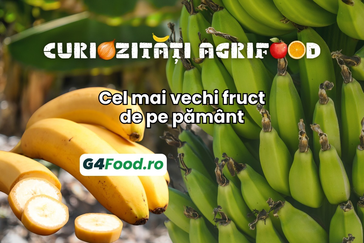 curiozitate agrifood, banana