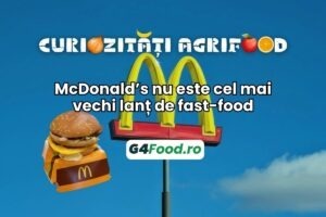 Mcdonald's, fast food, curiozitate agrifood