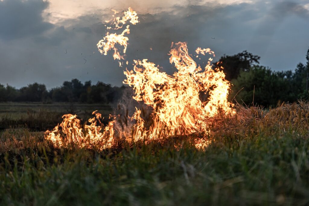 incendii, teren agricol
