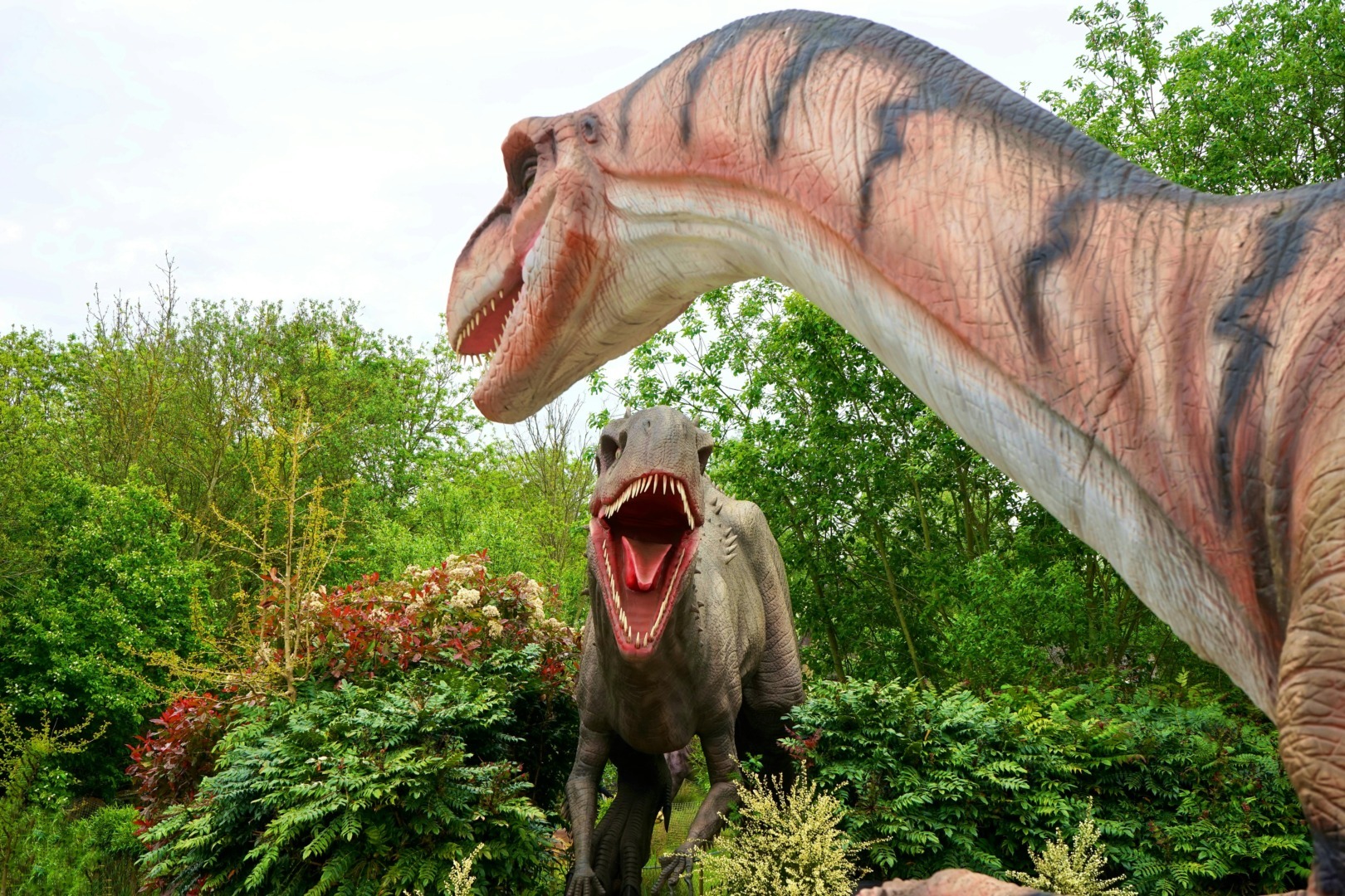 disparitie dinozauri, samanta fosila strugure, america sud, struguri