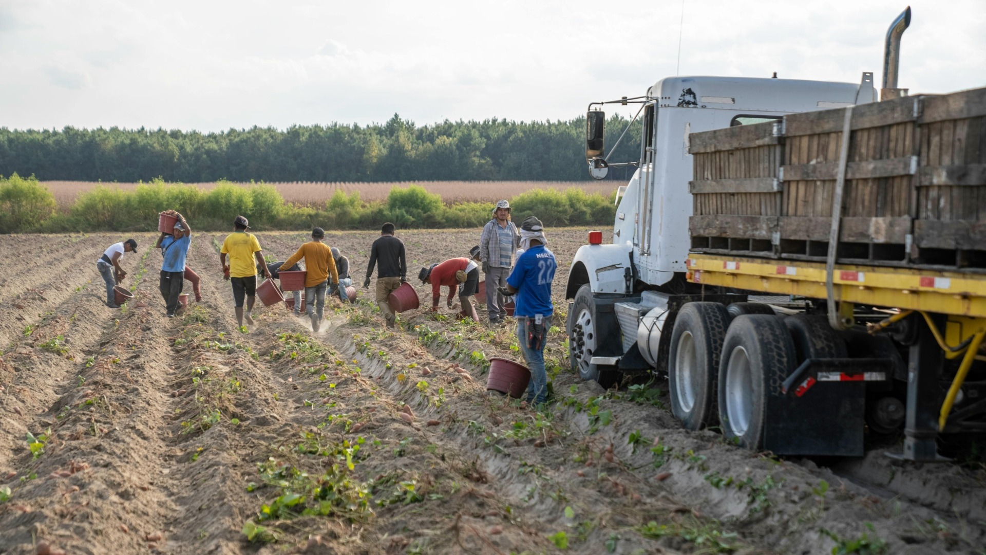 persoane ocupate in agricultura, 2023, statistica 2023