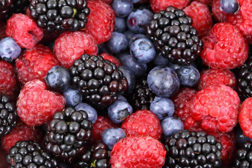 fructe de pădure