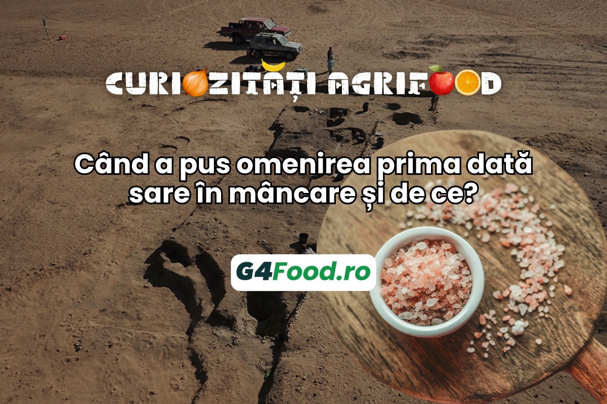 sare, curiozitati agrifood