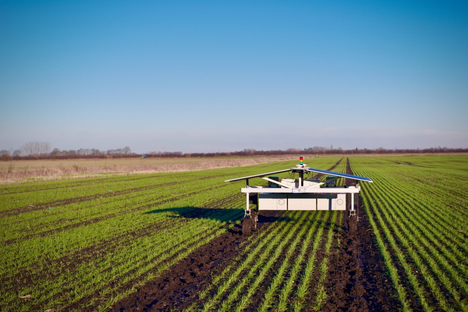 claws, robot, agricultura, buruieni