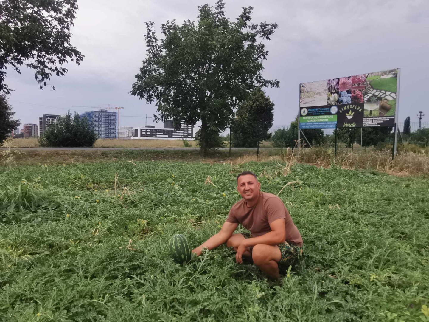 Cornel Crețu printre fructe FOTO Ștefan Both