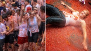 festival tomatna