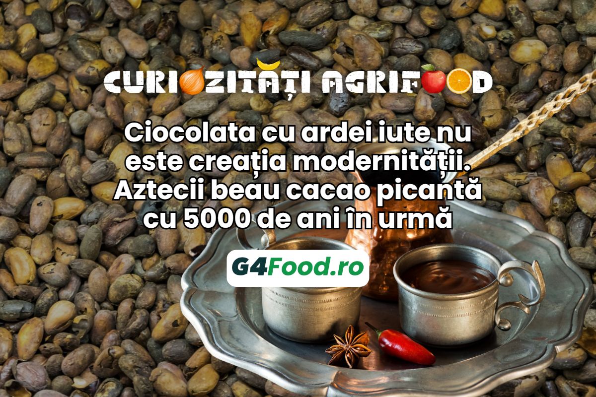 TN SITE- G4Food - Ciocolata cu ardei iute nu este creația modernității. Aztecii beau cacao picantă cu