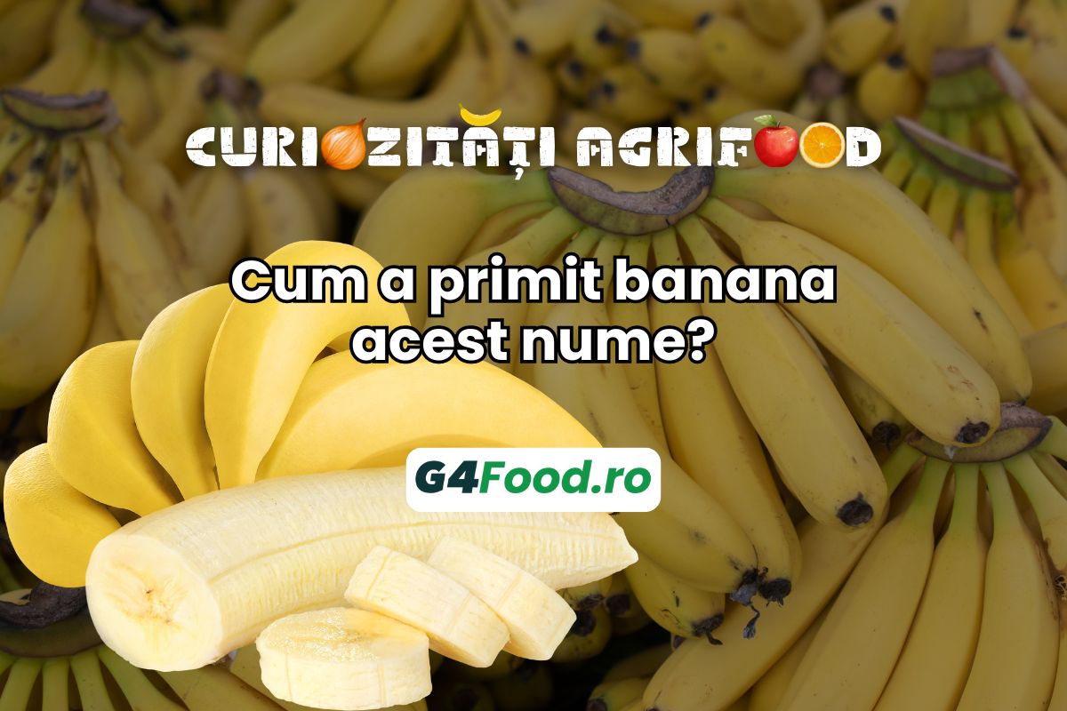 curiozitati agrifood, banana