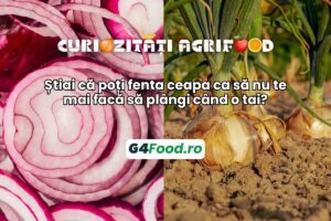 TN SITE- G4Food - Curiozitati Agrifood ceapa