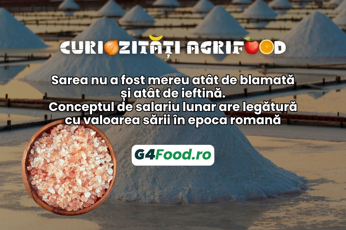 TN SITE- G4Food - Curiozitati agrifood sarea nu a fost mereu atat de blamata si atat de ieftina