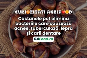 castanele pot elimina bacteriile