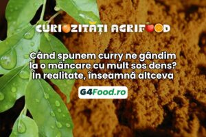 TN SITE- G4Food - curry