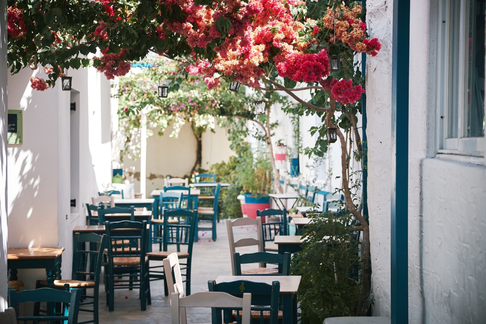 vacanta in Grecia cum alegi o tavernă taverna greceasca atmosfera informala platouri cu aperitive