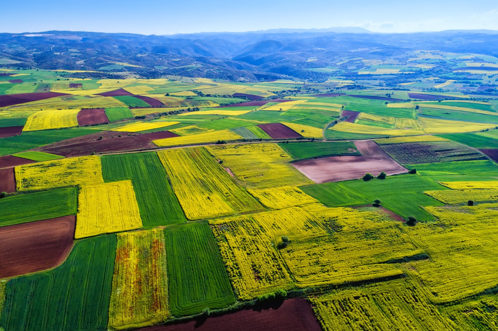 UE, terenuri agricole