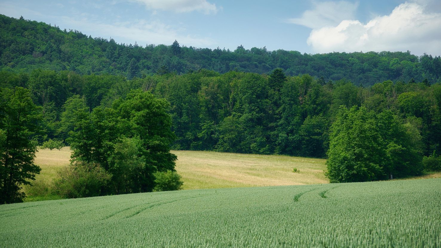 schimbari climatice, strategie guvernamentala, fermieri, cereale