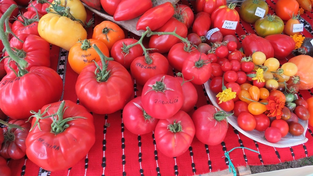 Festivalul Tomatelor și al biodiversității horticole, Sibiu, seminte