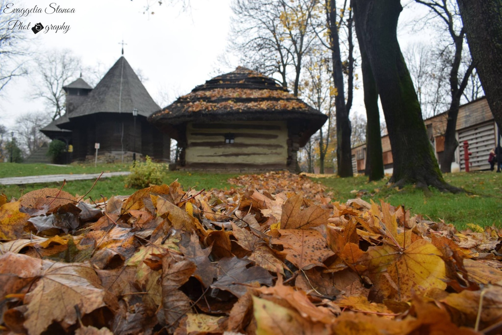 muzeul satului