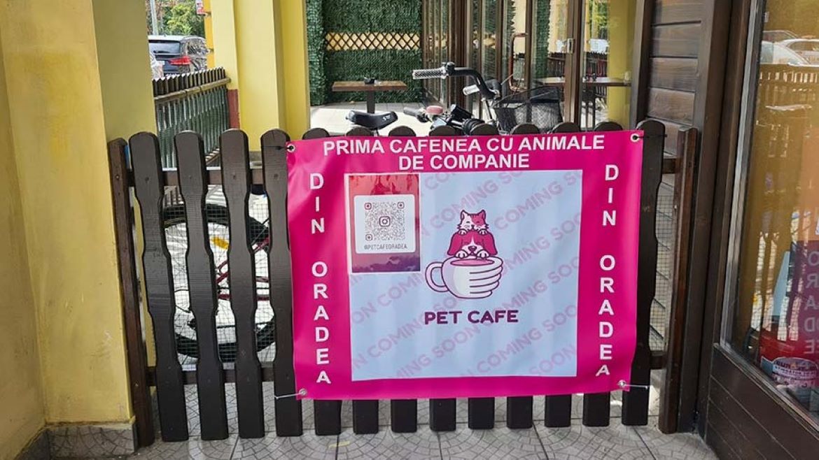 Oradea, caini, pisici, Pet Cafe