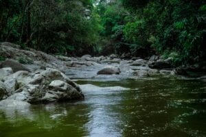 maramures, apa, canicula, somes-tisa