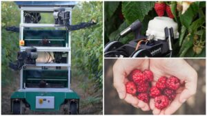 robocrop, zmeura, robot, fieldwork robotics