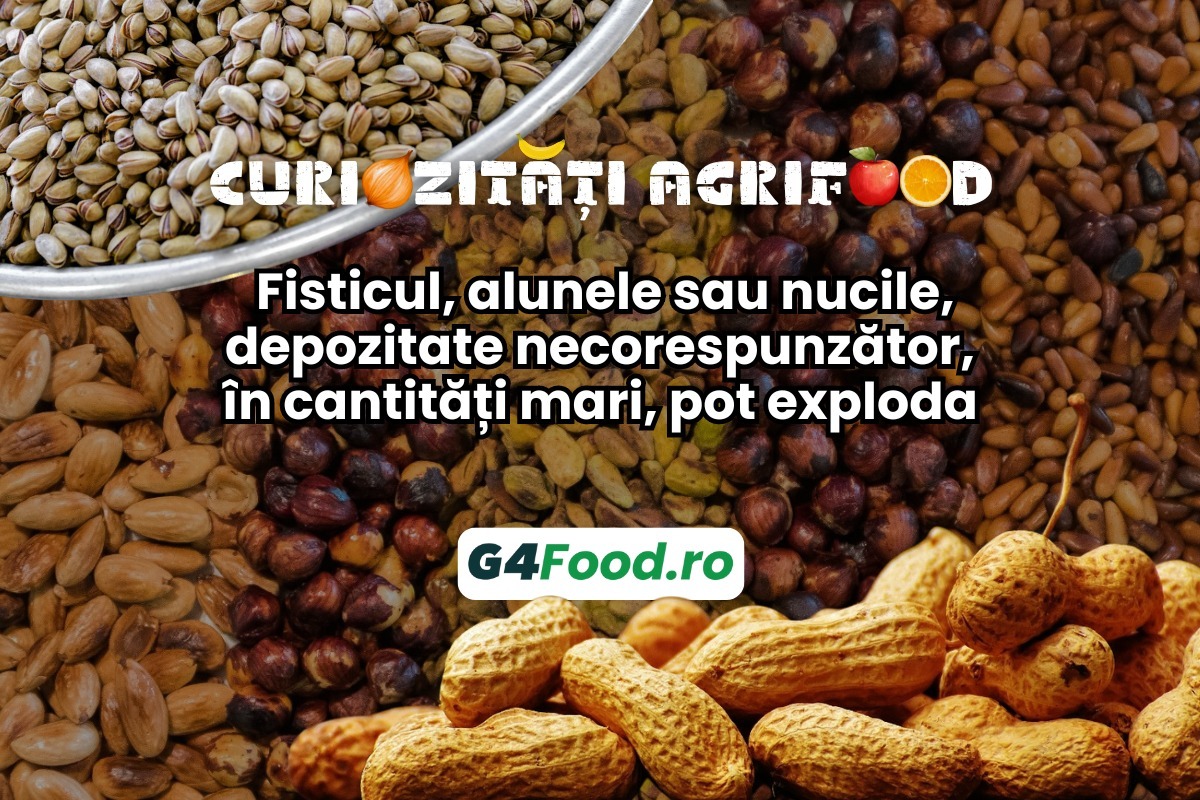 curiozitati agrifood fistic alune nuci