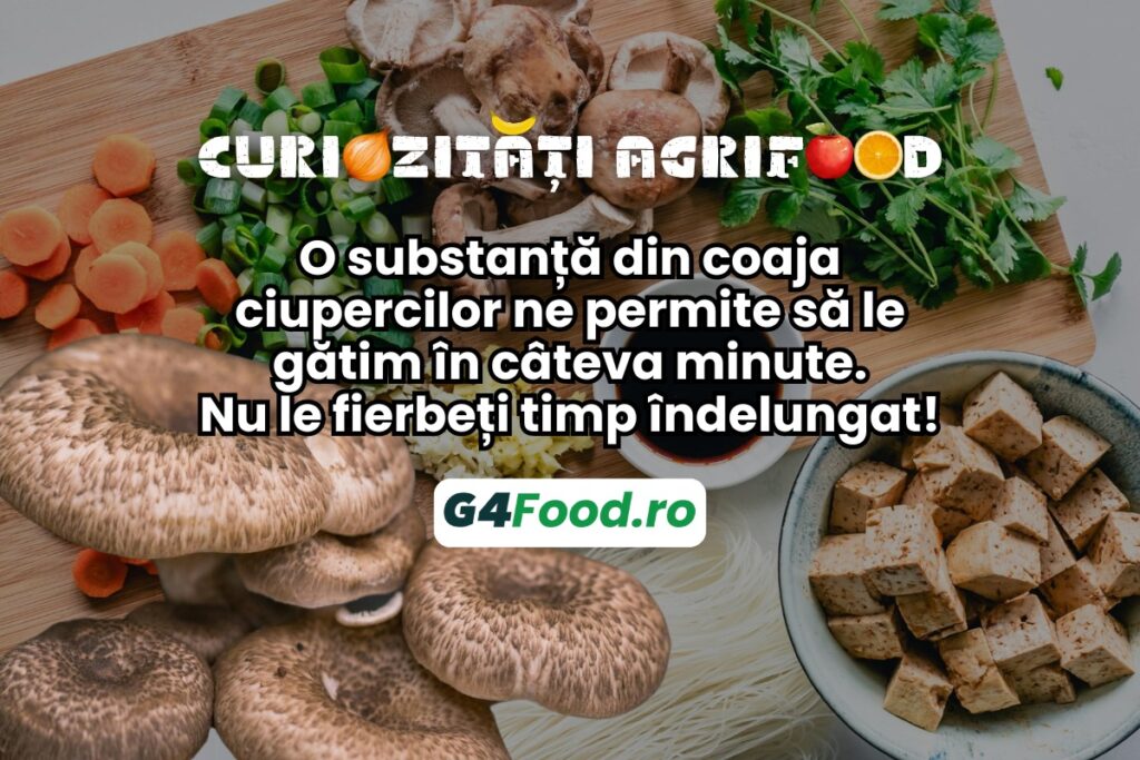 ciuperci curiozitati agrifood