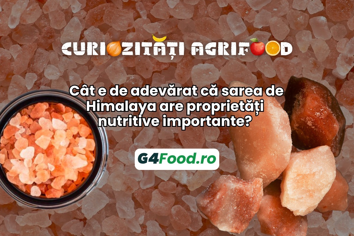 TN SITE- G4Food- Cât e de adevărat că sarea de Himalaya are proprietăți nutritive importante